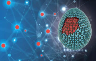 Focus Botnet Zergeca