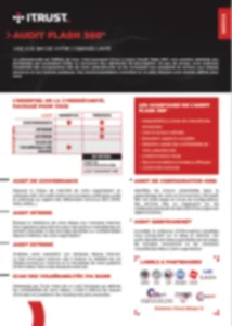 Fiche produit Audit flash