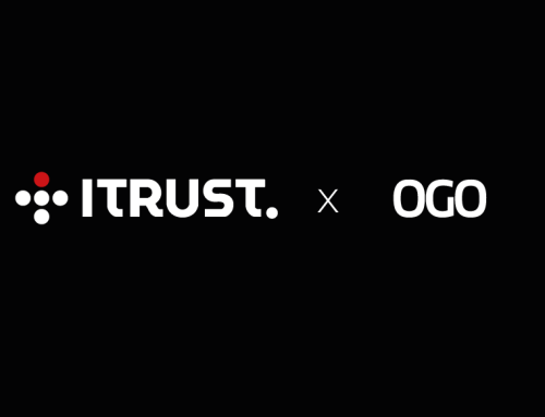 Zoom sur… OGO Security, notre partenaire pour sécuriser les infrastructures web